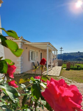 Vasilopoulos Estate